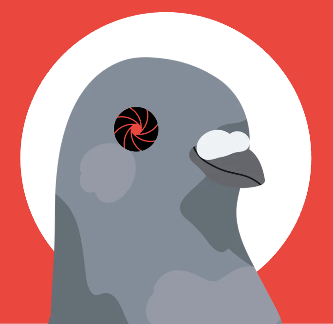 Flock RGV